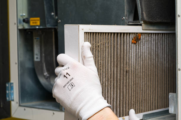 Best Professional Duct Cleaning Services  in Severna Park, MD