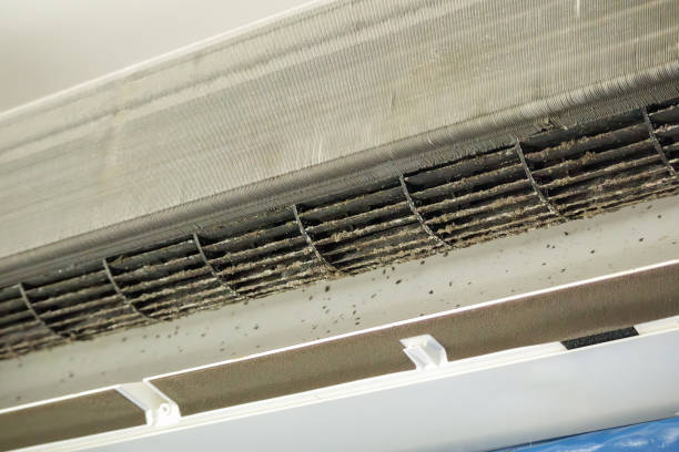 Best Commercial Air Duct Cleaning  in Severna Park, MD